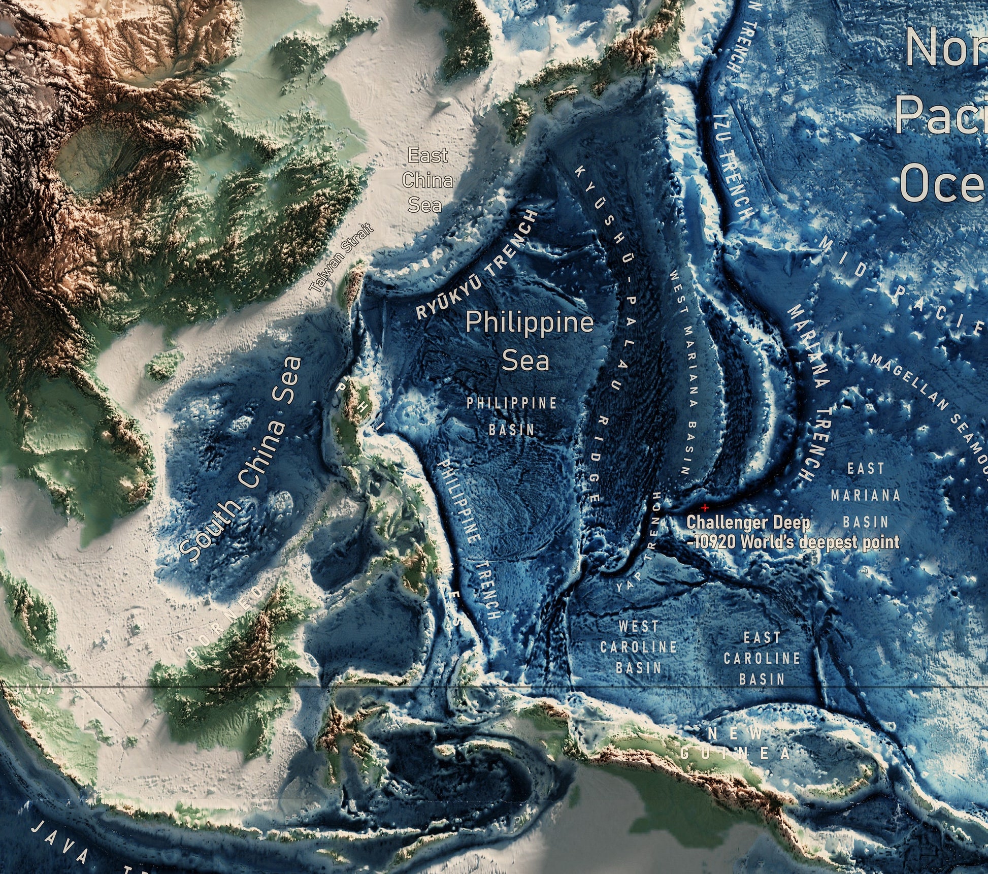 Physical Map of the World - 3D Relief Oceans and Geology Realistic render of the world - Terrain map - Poster Print